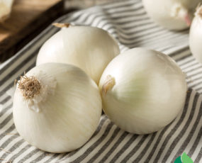 Onion, White Ebenezer (bushel)