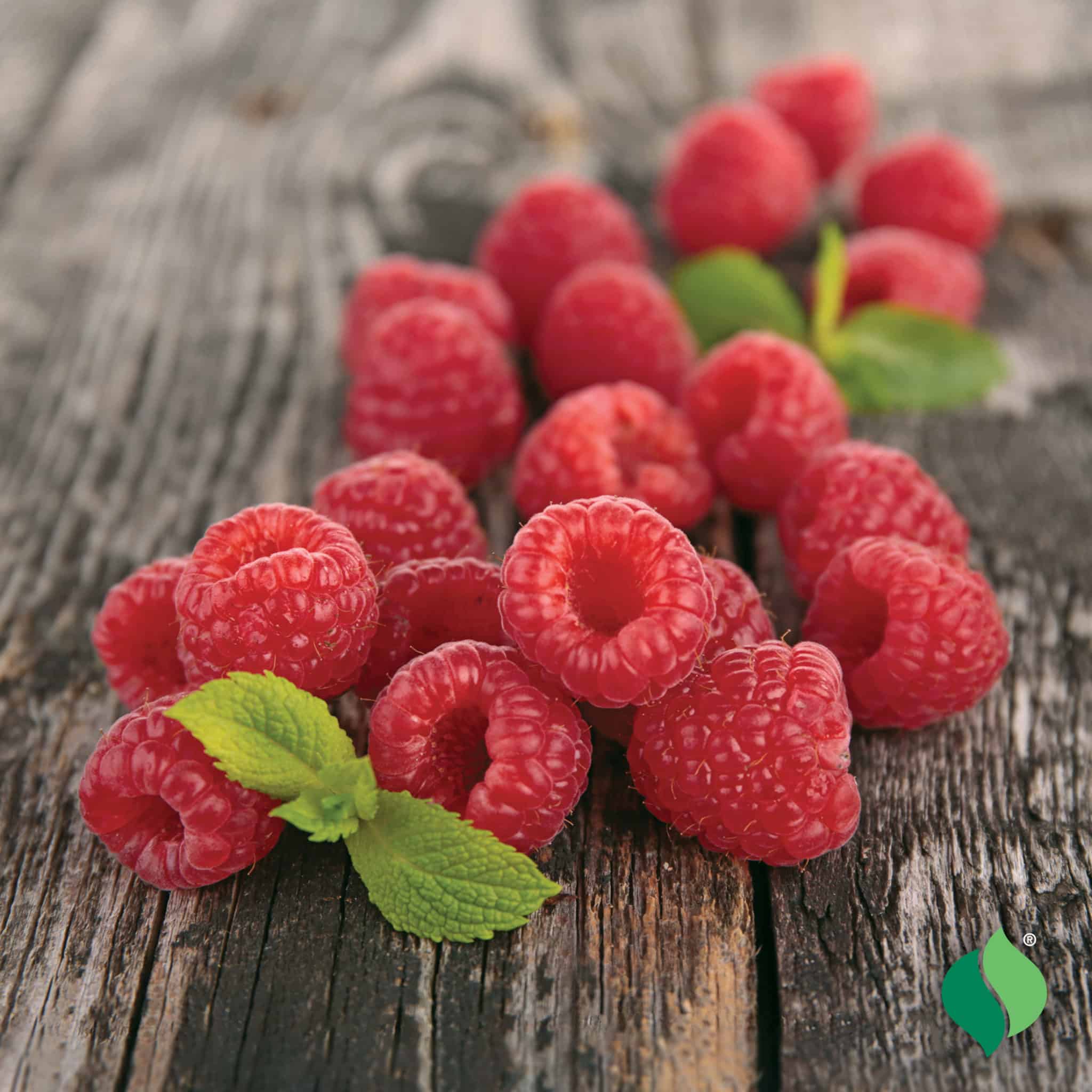 Raspberry 'Heritage' - Degroot
