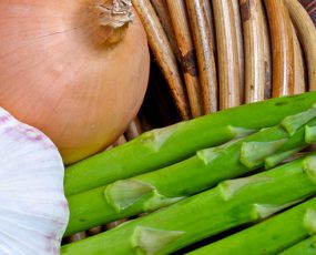Vegetables for the Garden