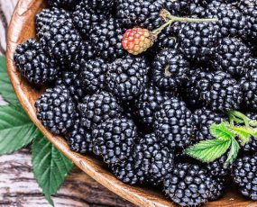 Wooden bowl filled with blackberries with a pale wood background