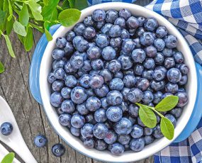 Northland blueberries in a white bowl
