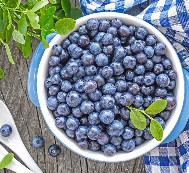Northland blueberries in a white bowl