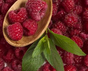 Raspberry 'Brandywine'