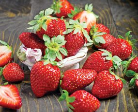 Strawberry 'Chandler' Junebearing