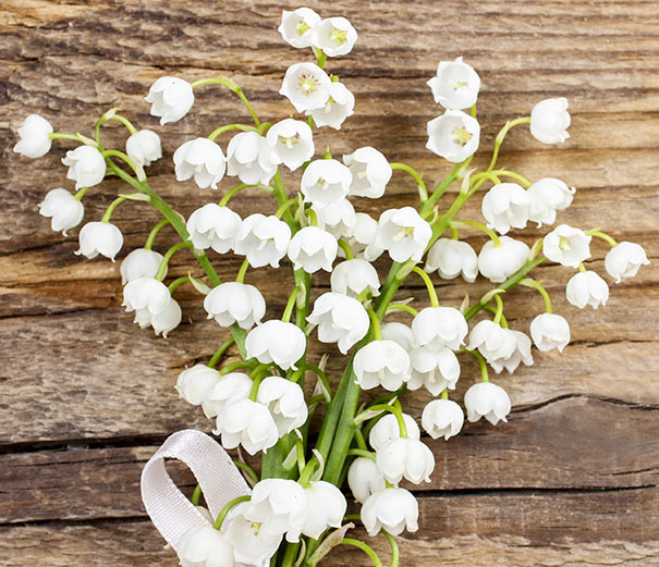 Lily of the Valley™ Bouquet