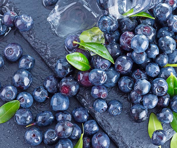 Blueberry Bluecrop berries on a gray surface