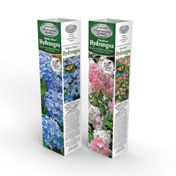 two retail packaged hydrangeas