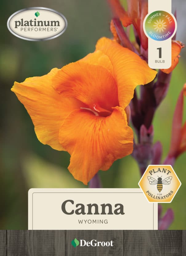 DeGroot Canna Wyoming capper package