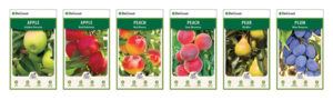 Tree tags for the six tree varieties included in the Fruit Lovers Tree Display