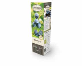 Blueberry Assortment Retail Case Pack