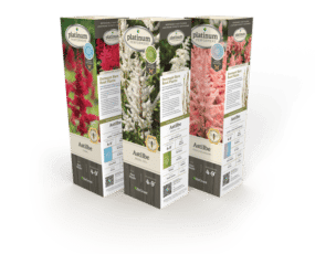 DeGroot Astilbe Assortment 11" Sleeves