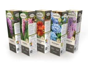 DeGroot Butterfly & Hummingbird Garden Collection 11" Sleeves