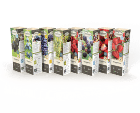 DeGroot Fruit Assortment 11" Sleeves