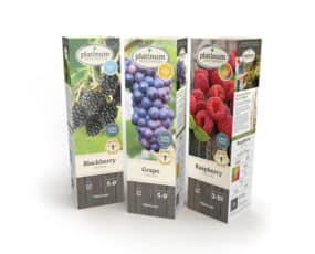 DeGroot 11" Fruit Sleeves