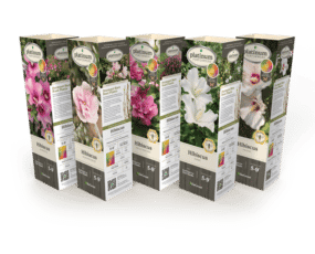 DeGroot Hibiscus Assortment 11" Sleeves