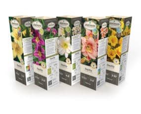 DeGroot Hemerocallis (Daylily) Assortment 11" Sleeves