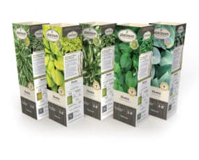DeGroot Hosta Assortment 11" Sleeves