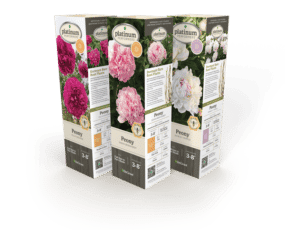 DeGroot Paeonia (Peony) Double Assortment 11" Sleeves