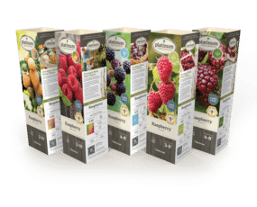 DeGroot Raspberry Assortment 11" Sleeves