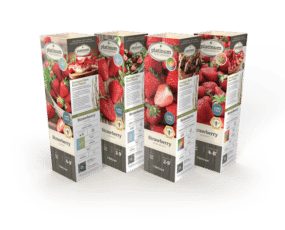 DeGroot Strawberry Everbearing & Junebearing Assortment 11" Sleeves