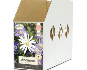 Anemone Blanda Mix Bin Box