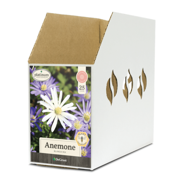 Anemone Blanda Mix Bin Box