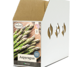 Asparagus Jersey Giant Bin Box