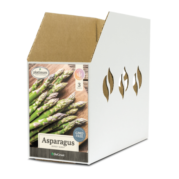 Asparagus Jersey Giant Bin Box