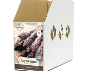 Asparagus Purple Passion Bin Box