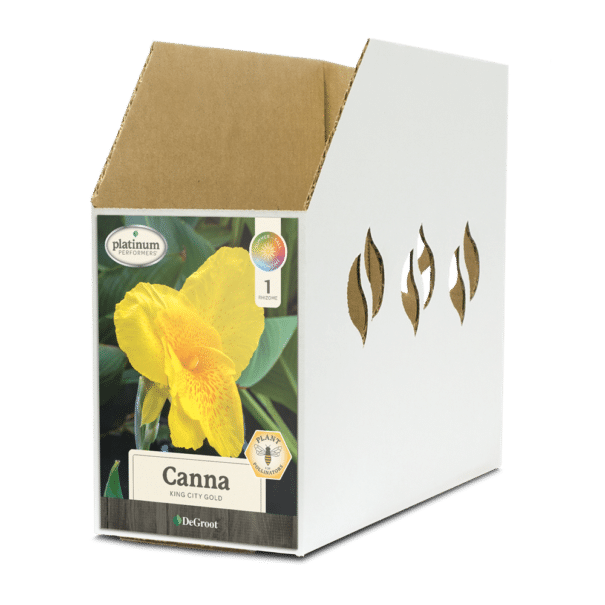 Canna King City Gold Bin Box