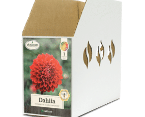 Dahlia Garden Wonder Bin Box