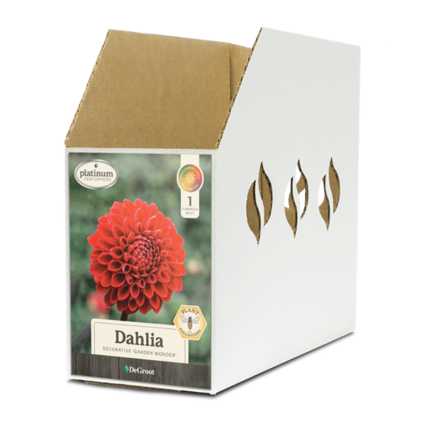 Dahlia Garden Wonder Bin Box
