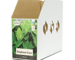 Elephant Ear Bin Box