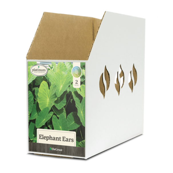 Elephant Ear Bin Box