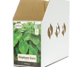 Elephant Ear Mammoth Bin Box