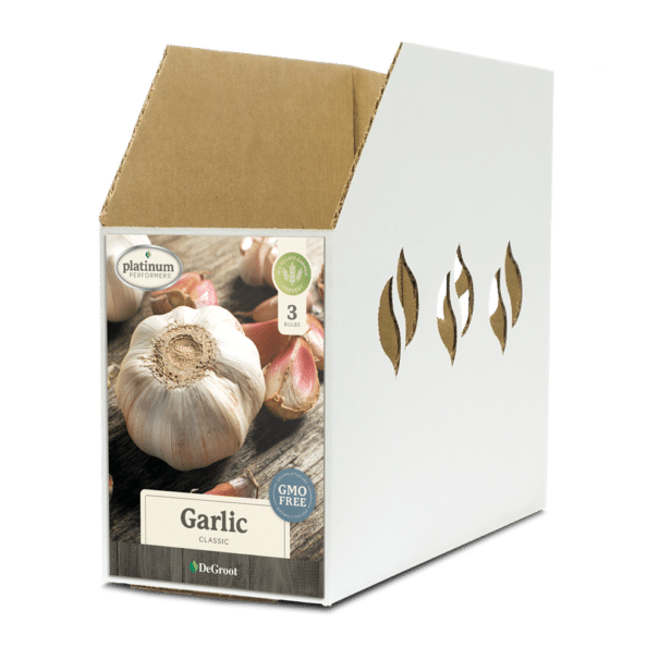 Garlic Bulbs Bin Box