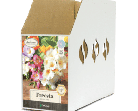 Freesia Double Mix Bin Box