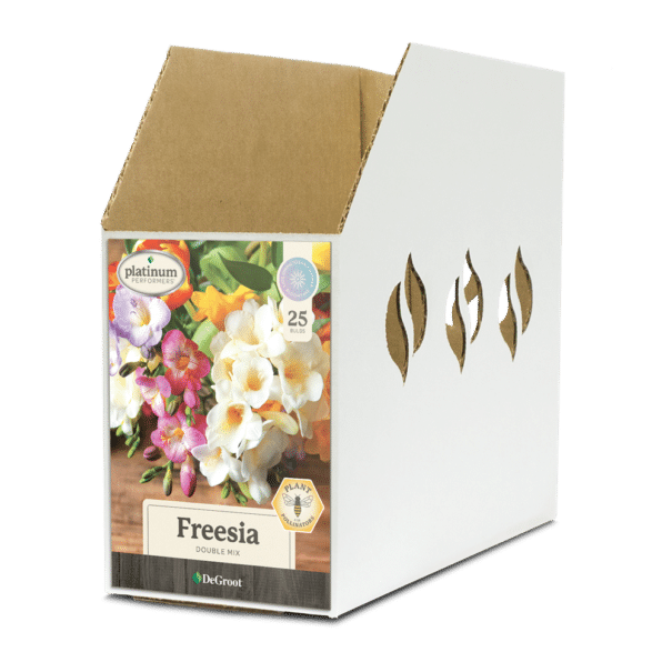 Freesia Double Mix Bin Box