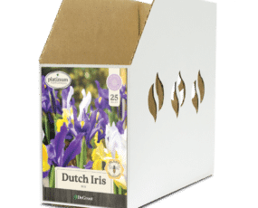 Dutch Iris Mix Bin Box