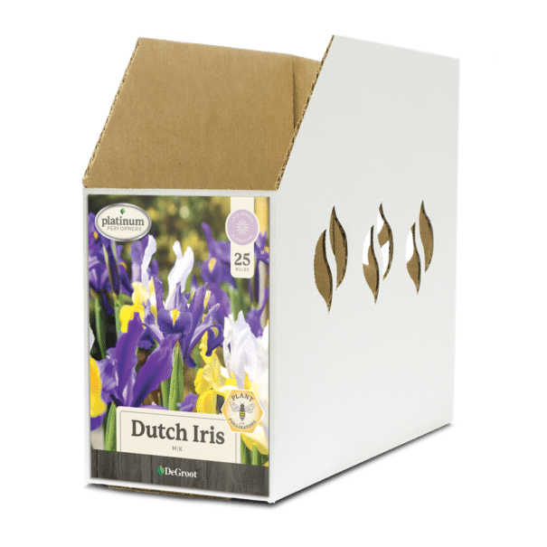Dutch Iris Mix Bin Box