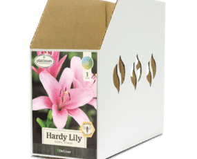 Hardy Lily Vivaldi Bin Box