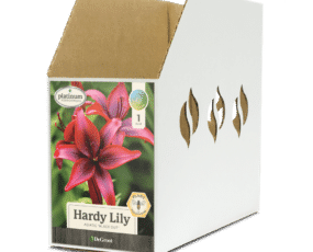 Hardy Lily Black Out® Bin Box