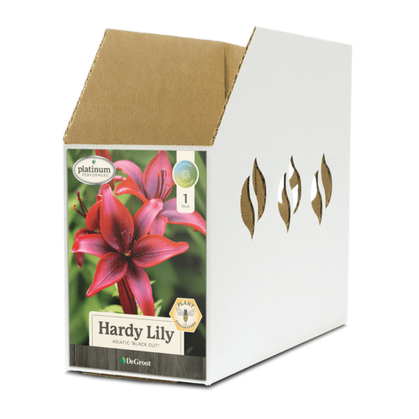 Hardy Lily Black Out® Bin Box