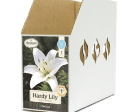 Hardy Lily Navona Bin Box