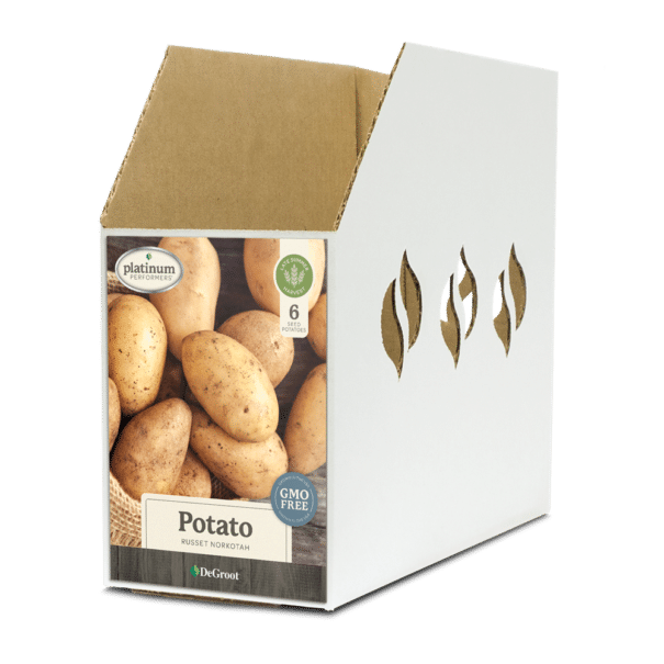 Potato Russet Norkotah Bin Box