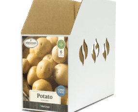 Potato Kennebec Bin Box