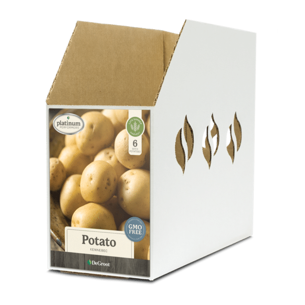 Potato Kennebec Bin Box