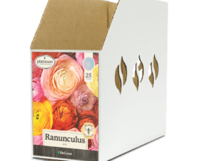 Ranunculus Mix Bin Box