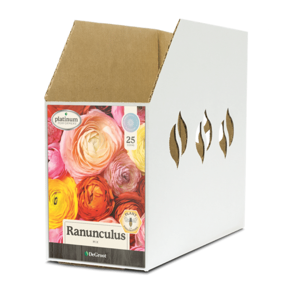Ranunculus Mix Bin Box