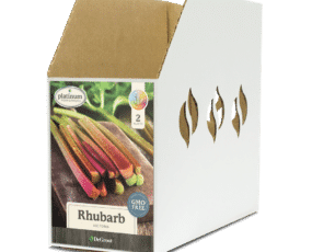 Rhubarb Victoria Bin Box